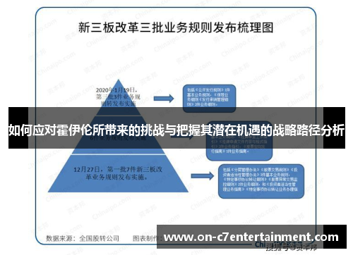 如何应对霍伊伦所带来的挑战与把握其潜在机遇的战略路径分析