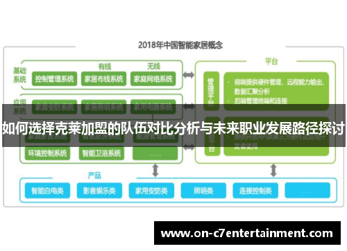 如何选择克莱加盟的队伍对比分析与未来职业发展路径探讨
