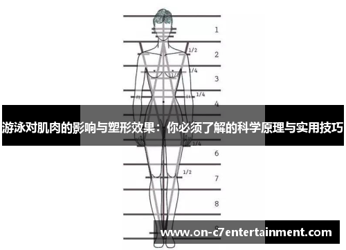 游泳对肌肉的影响与塑形效果：你必须了解的科学原理与实用技巧