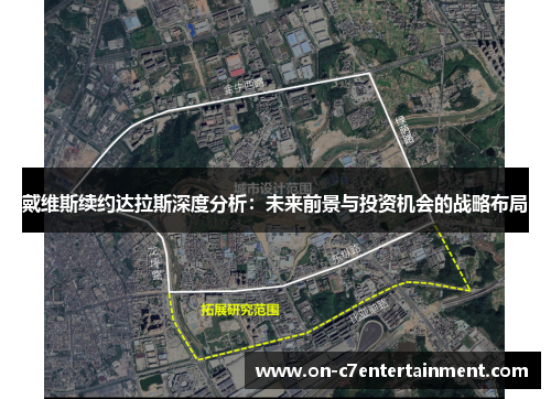戴维斯续约达拉斯深度分析：未来前景与投资机会的战略布局