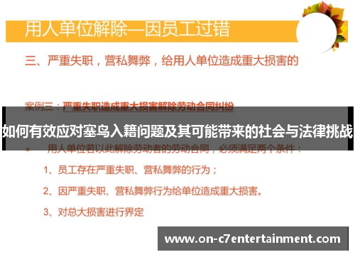 如何有效应对塞鸟入籍问题及其可能带来的社会与法律挑战