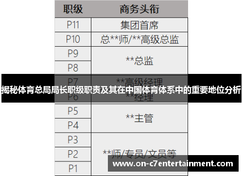 揭秘体育总局局长职级职责及其在中国体育体系中的重要地位分析