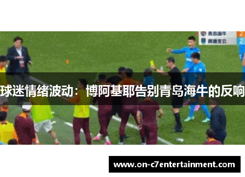 球迷情绪波动：博阿基耶告别青岛海牛的反响