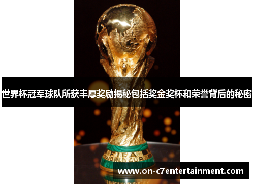 世界杯冠军球队所获丰厚奖励揭秘包括奖金奖杯和荣誉背后的秘密