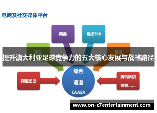 提升澳大利亚足球竞争力的五大核心发展与战略路径