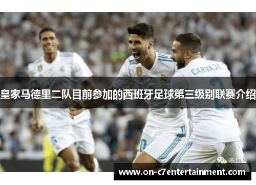 皇家马德里二队目前参加的西班牙足球第三级别联赛介绍