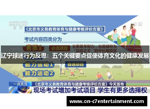 辽宁球迷行为反思：五个关键要点促使体育文化的健康发展
