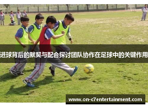 进球背后的默契与配合探讨团队协作在足球中的关键作用