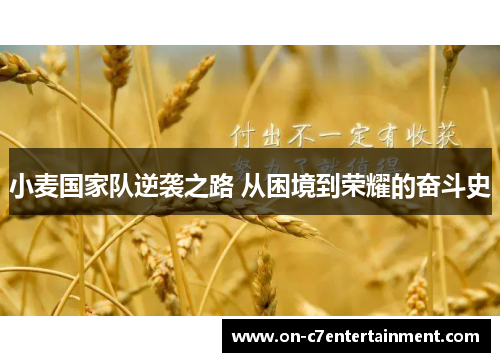小麦国家队逆袭之路 从困境到荣耀的奋斗史 小麦国家队逆袭之路 从困境到荣耀的奋斗史