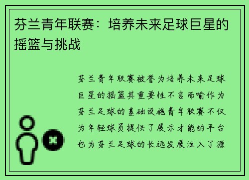 芬兰青年联赛：培养未来足球巨星的摇篮与挑战
